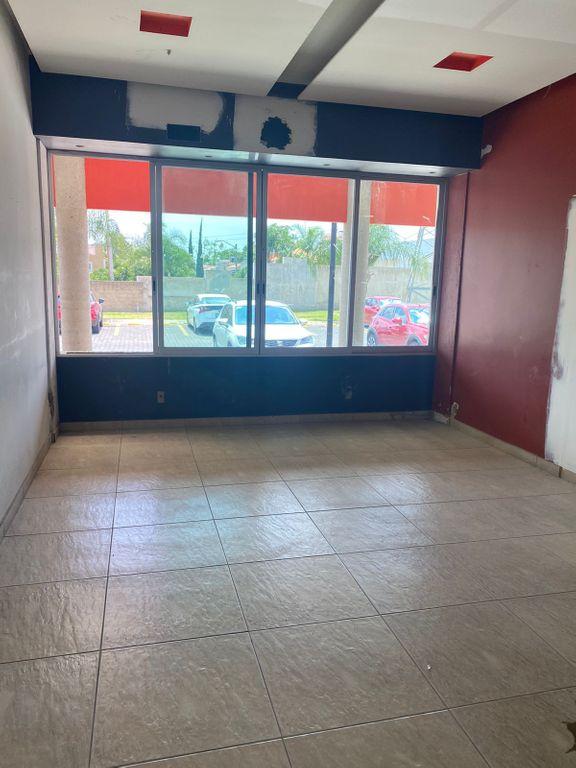 Foto de la galeria de imagenes