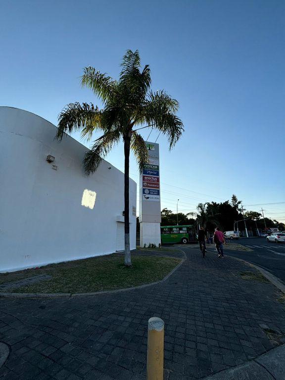 Foto de la galeria de imagenes